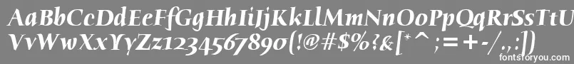 Шрифт HumanaSerifItcTtBolditalic – белые шрифты на сером фоне