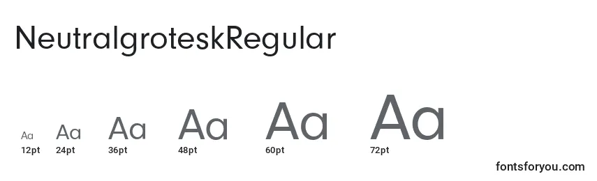 Размеры шрифта NeutralgroteskRegular