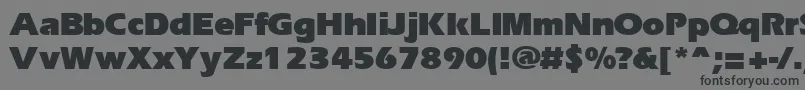 ErgoeblackRegular Font – Black Fonts on Gray Background