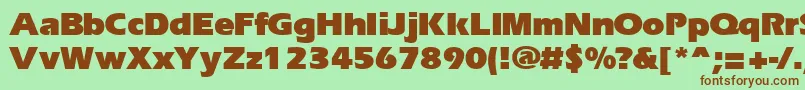 ErgoeblackRegular Font – Brown Fonts on Green Background