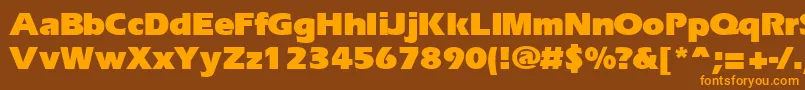 ErgoeblackRegular Font – Orange Fonts on Brown Background