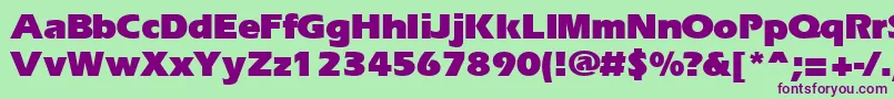 ErgoeblackRegular Font – Purple Fonts on Green Background