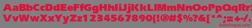 ErgoeblackRegular Font – Red Fonts on Gray Background