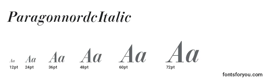 ParagonnordcItalic Font Sizes