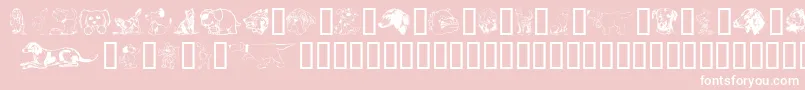 Doggart-Schriftart – Weiße Schriften auf rosa Hintergrund