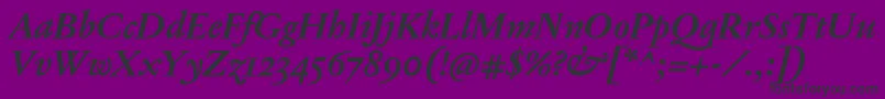 JannonTModerneOtBoldItalic Font – Black Fonts on Purple Background