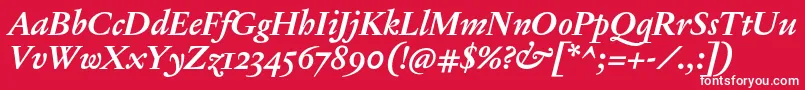 JannonTModerneOtBoldItalic Font – White Fonts on Red Background