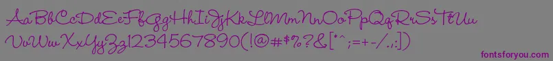 WendylpstdMedium Font – Purple Fonts on Gray Background