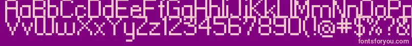 Standard0955 Font – Pink Fonts on Purple Background