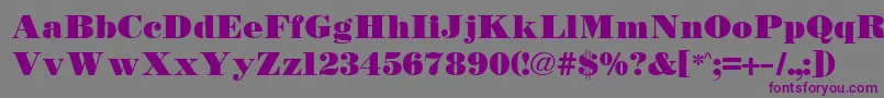 TetonBold Font – Purple Fonts on Gray Background