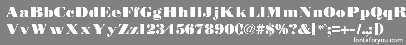 TetonBold Font – White Fonts on Gray Background