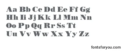 TetonBold Font