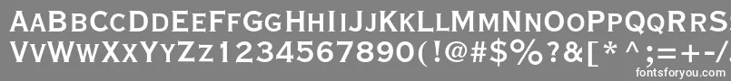 フォントVacansiacBold – 灰色の背景に白い文字