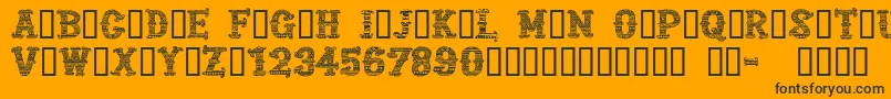 CfmexicanapersonaluseRegul Font – Black Fonts on Orange Background
