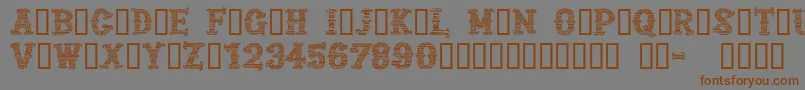 CfmexicanapersonaluseRegul Font – Brown Fonts on Gray Background