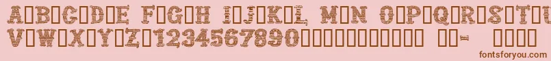 CfmexicanapersonaluseRegul Font – Brown Fonts on Pink Background