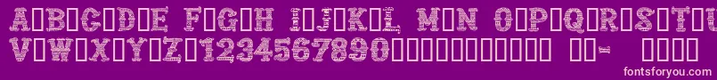 CfmexicanapersonaluseRegul Font – Pink Fonts on Purple Background
