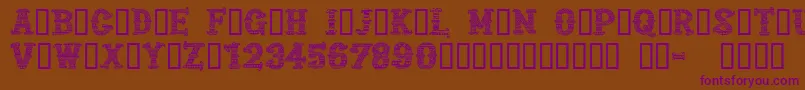 CfmexicanapersonaluseRegul Font – Purple Fonts on Brown Background