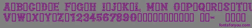 CfmexicanapersonaluseRegul Font – Purple Fonts on Gray Background