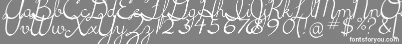 Шрифт 5thgradecursive2Italic – белые шрифты на сером фоне