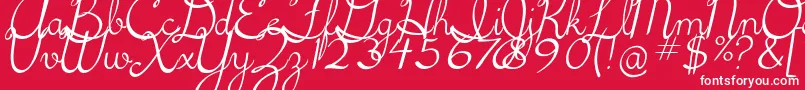 5thgradecursive2Italic Font – White Fonts on Red Background