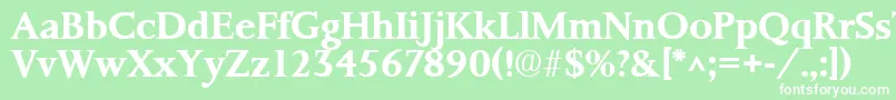 PalermoBold Font – White Fonts on Green Background