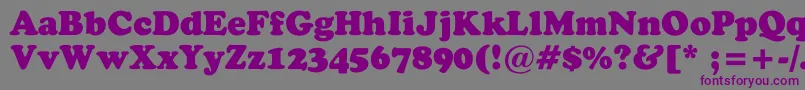 StaveBlack Font – Purple Fonts on Gray Background