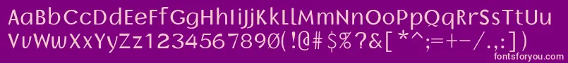 Borrorregular Font – Pink Fonts on Purple Background