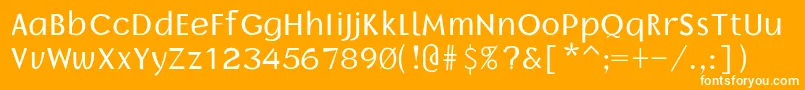 Borrorregular Font – White Fonts on Orange Background