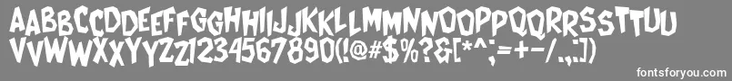 CatWomen Font – White Fonts on Gray Background