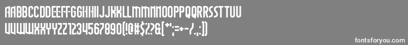 フォントTheWastesOfSpace – 灰色の背景に白い文字