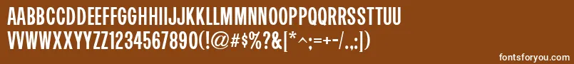 SandcastleJnl Font – White Fonts on Brown Background