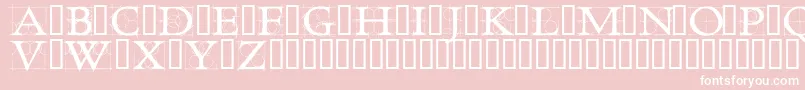 RoughworkDemo Font – White Fonts on Pink Background
