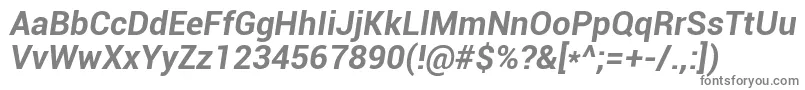 RobotoBoldItalic Font – Gray Fonts on White Background