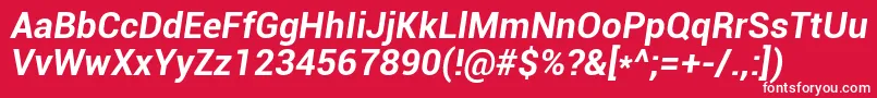 フォントRobotoBoldItalic – 赤い背景に白い文字