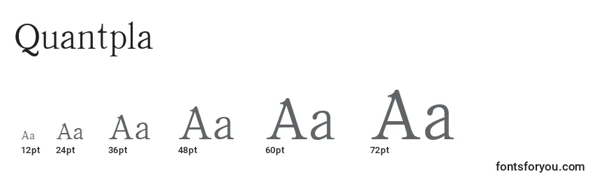 Размеры шрифта Quantpla