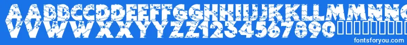 フォントWizardry – 青い背景に白い文字