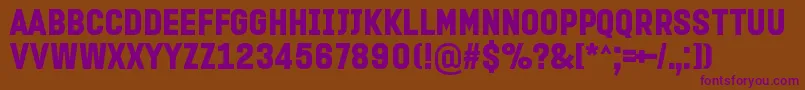 ProminderRegular Font – Purple Fonts on Brown Background