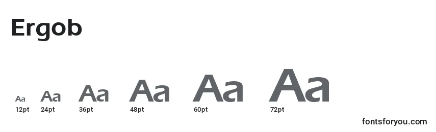 Ergob Font Sizes