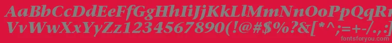 フォントStoneserifstdBolditalic – 赤い背景に灰色の文字