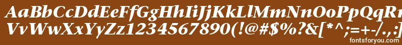 Шрифт StoneserifstdBolditalic – белые шрифты на коричневом фоне