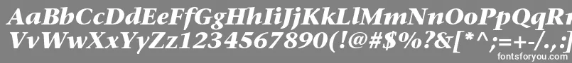 フォントStoneserifstdBolditalic – 灰色の背景に白い文字