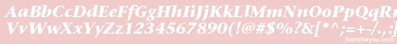 StoneserifstdBolditalic Font – White Fonts on Pink Background