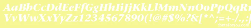 StoneserifstdBolditalic Font – White Fonts on Yellow Background