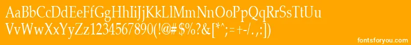 フォントPalisadecondensedRegular – オレンジの背景に白い文字