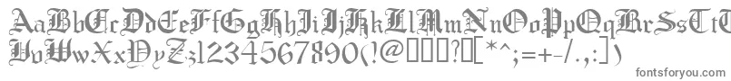 フォントCrusadergothic – 白い背景に灰色の文字