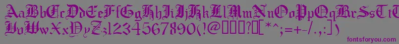 Crusadergothic-fontti – violetit fontit harmaalla taustalla