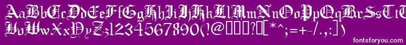 Crusadergothic Font – White Fonts on Purple Background