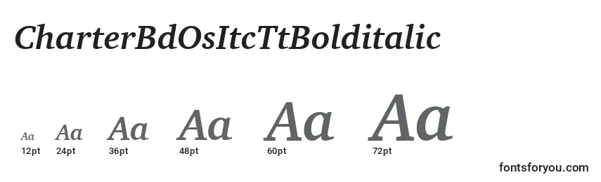 CharterBdOsItcTtBolditalic Font Sizes