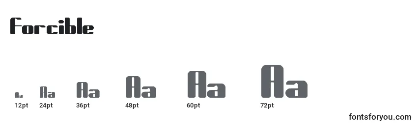 Forcible Font Sizes
